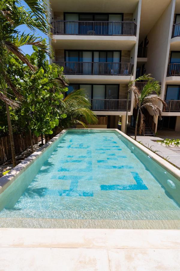 Ocean View Loft In Punta Cocos - D102 Hotell Holbox  Eksteriør bilde
